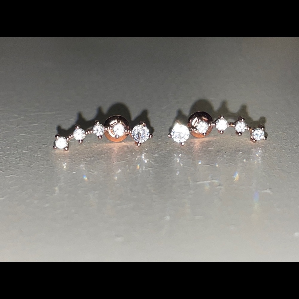 Rose Gold Earrings